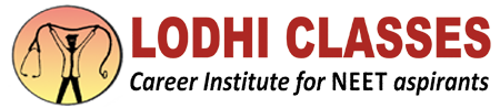 Lodhi Coching Institute